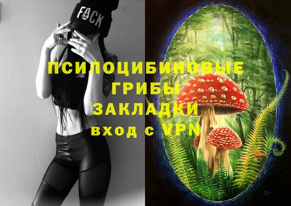 a pvp Рославль