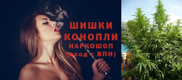 ECSTASY Коряжма