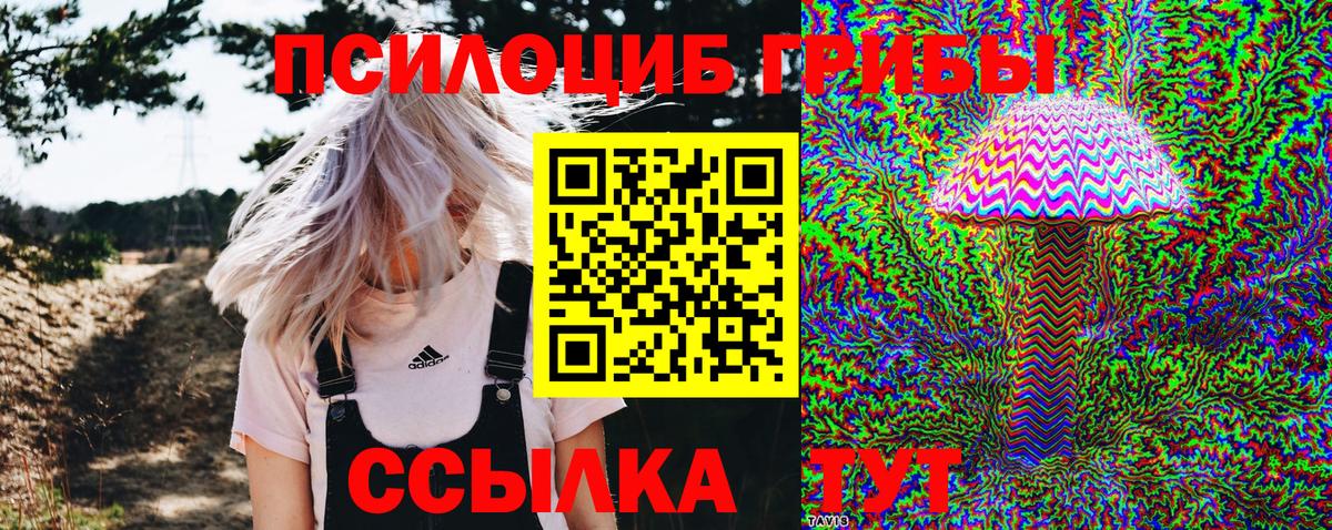 Псилоцибиновые грибы мухоморы  Казань 