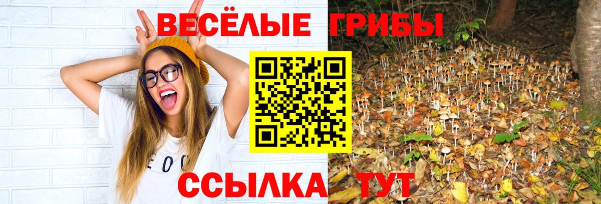 Псилоцибиновые грибы Psilocybe  Псилоцибиновые грибы Cubensis  Казань  Вход с VPN 